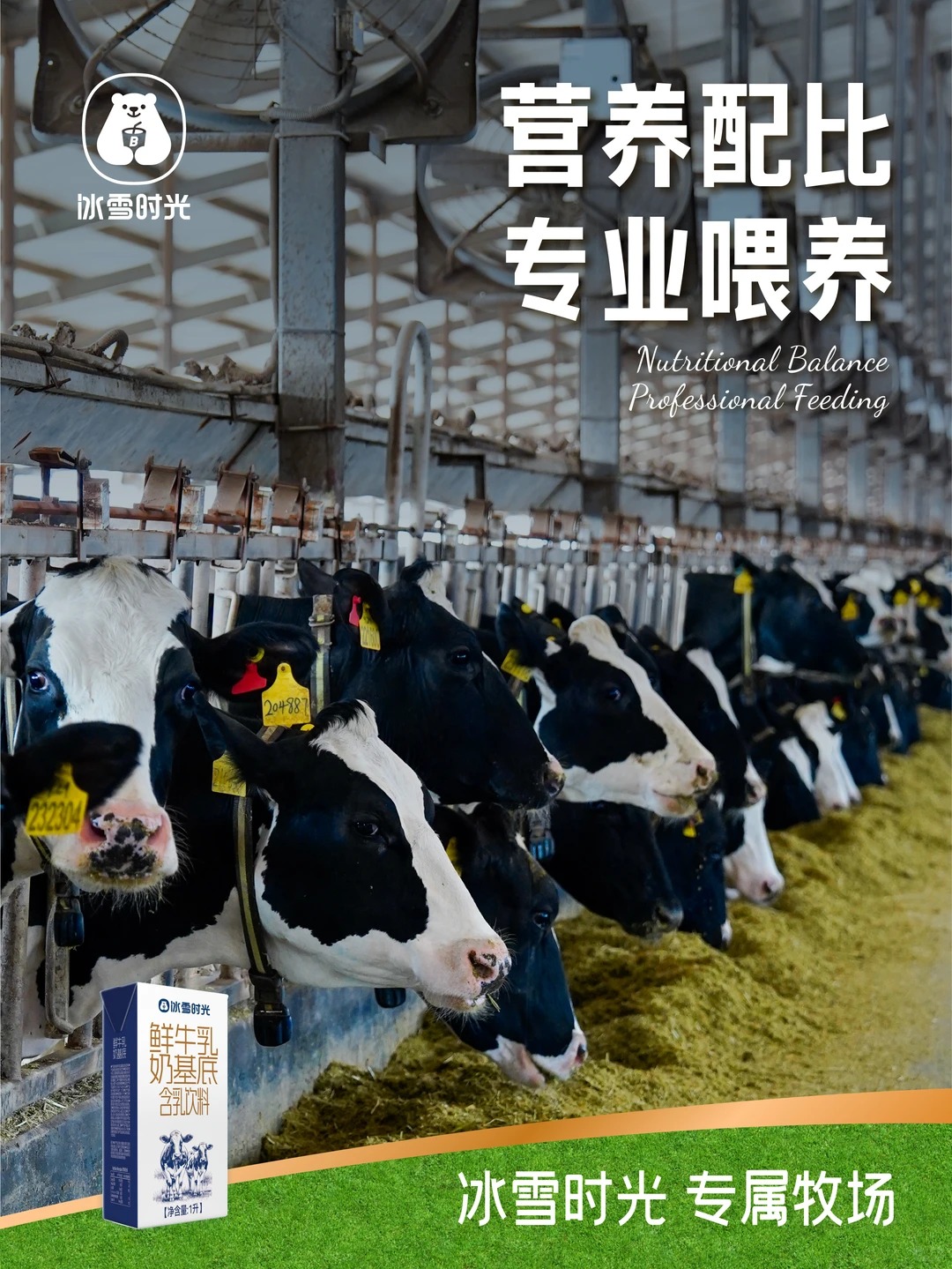 冰雪时光：好茶有温度，承诺有分量